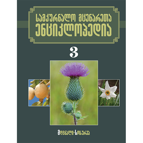 სამკურნალო მცენარეთა ენციკლოპედია ტომი 3